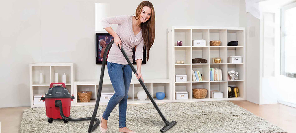 wet and dry vacuum cleaner for home